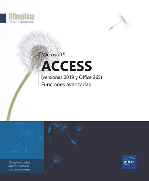 Access 2019 - Funciones avanzadas