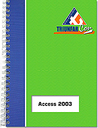 Access 2003